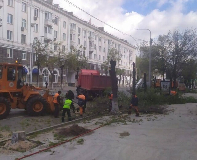 В мэрии Уфы объяснили вырубку деревьев на улице Ленина