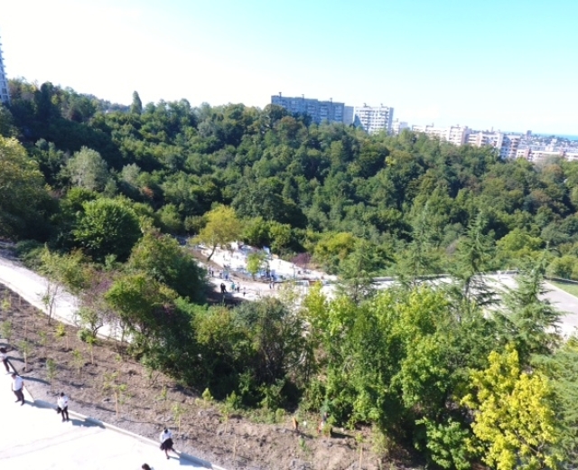 Реконструкция верхней части парка 80-летия Краснодарского края: девелопер AVA реализует социальные проекты в Сочи