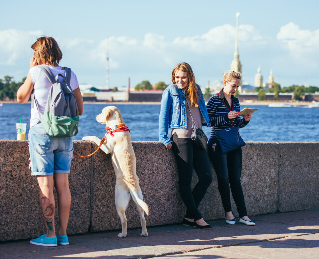 В Петербурге хотят ввести новые ограничения для владельцев собак