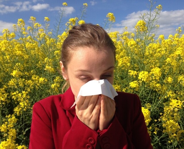 Главный аллерголог-иммунолог Новосибирской области рассказала о ежегодном росте числа аллергиков