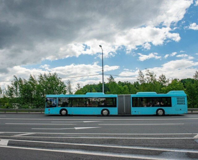 В Петербурге появится более 100 больших низкопольных автобуса