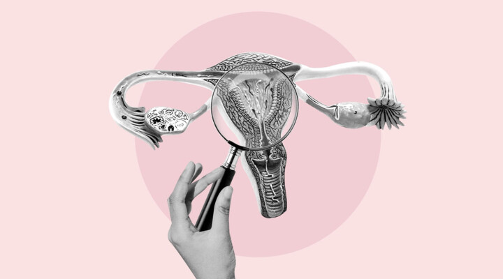 Корей әйелдерінің үлкен денелі порно видеолары Дарла Крейн порно