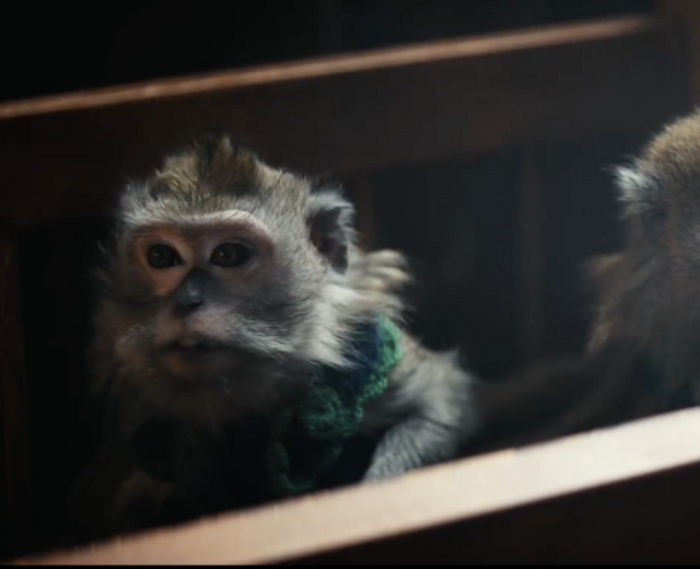 Порно анасы ұлын порно көріп жатқан жерінен ұстады