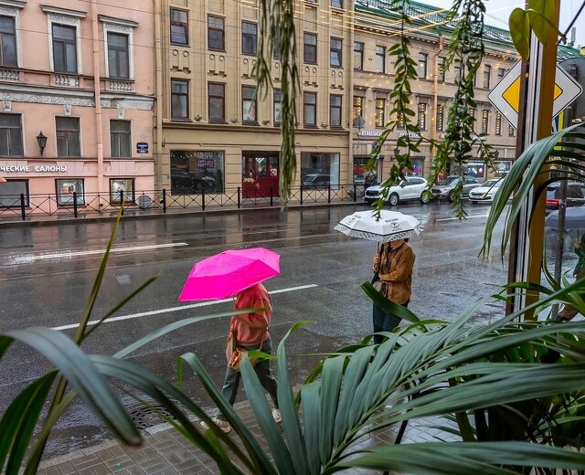 Солнце было недолго: Петербург накроют затяжные дожди