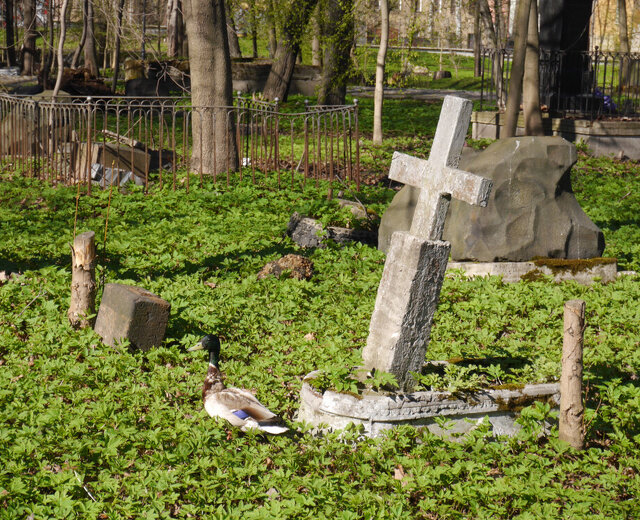 Убирать кладбище, где Балабанов снимал «Брата», снова зовут петербуржцев. После субботника участник…