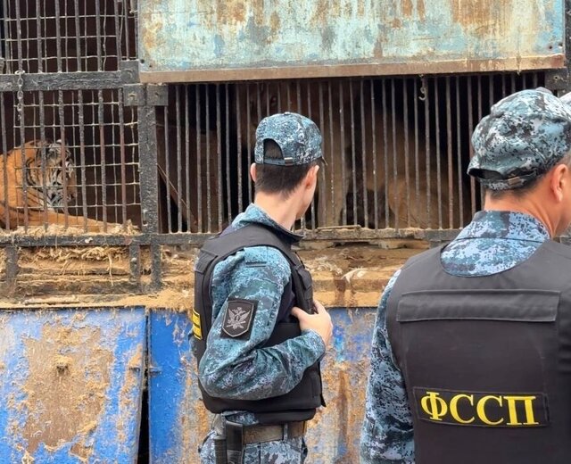 Скандальный зоопарк «Саванна» в Уфе закрыли на 30 суток
