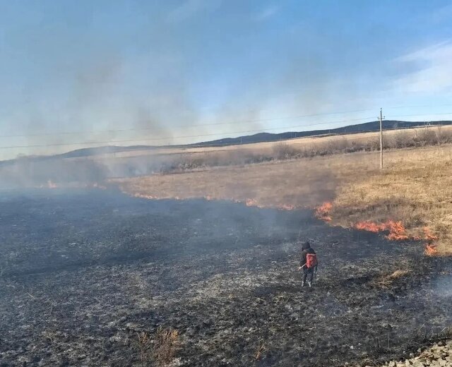 В Башкортостане за сутки произошли 2 лесных пожара